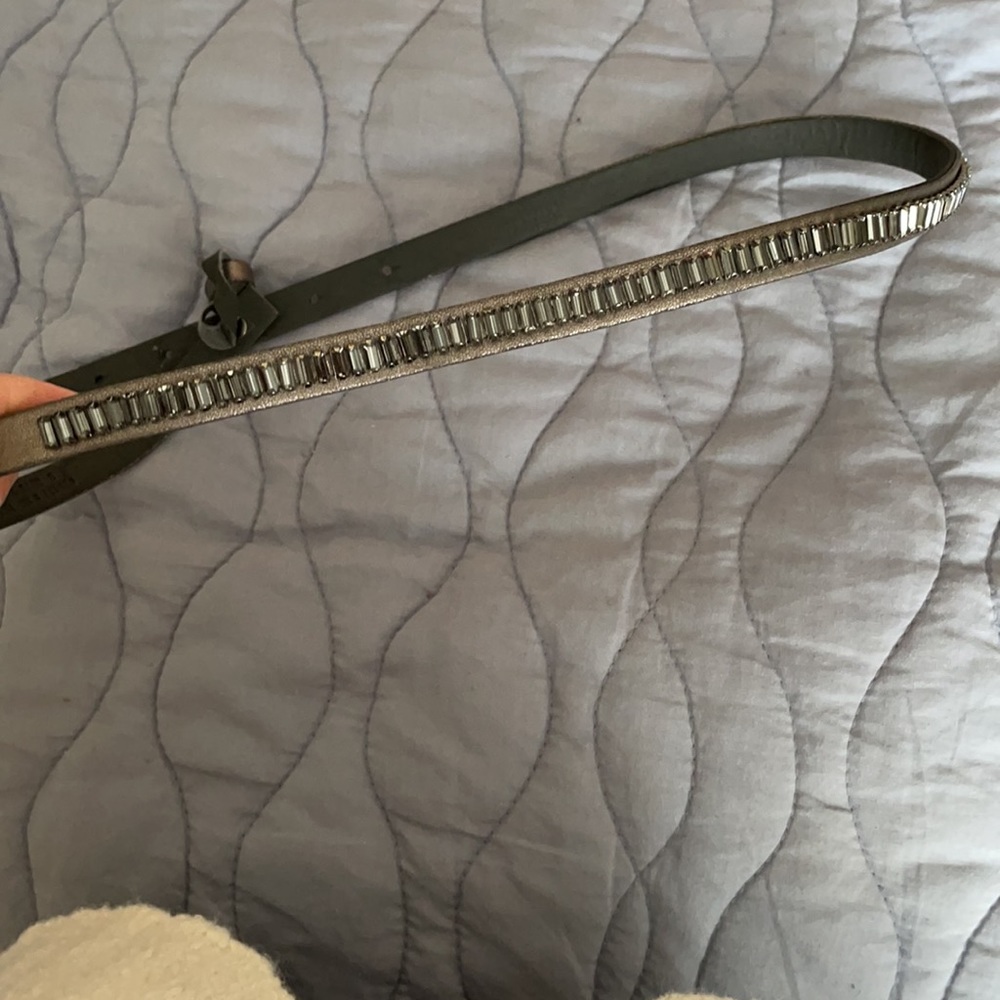 Accessory belt